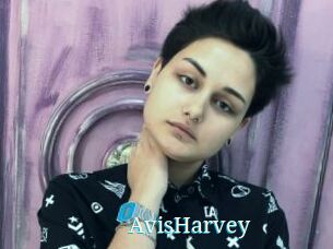 AvisHarvey