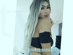 Andreasmiitt