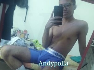 Andypolla