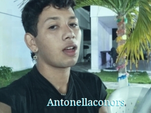 Antonellaconors