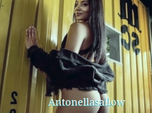 Antonellasallow