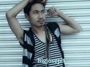 Bigjoseph