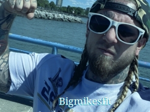 Bigmikesfit