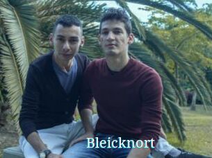 Bleicknort