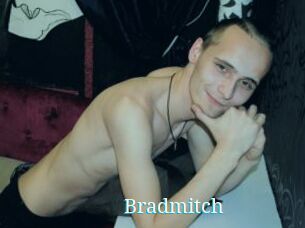 Bradmitch