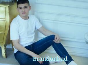 Brandonbud