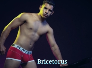 Bricetorus