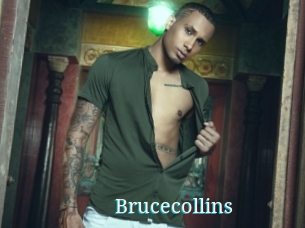 Brucecollins
