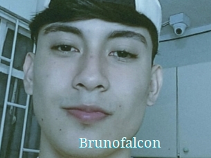 Brunofalcon