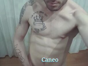 Caneo