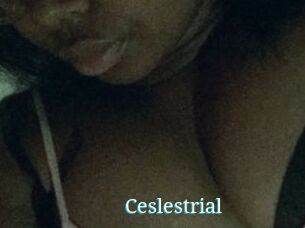 Ceslestrial