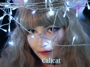 Calicat