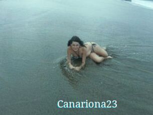 Canariona23