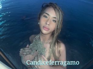 Candiceferragamo