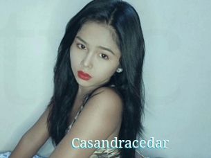 Casandracedar