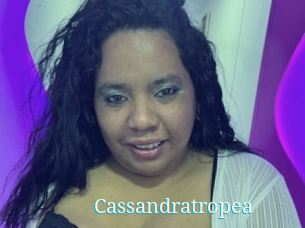 Cassandratropea