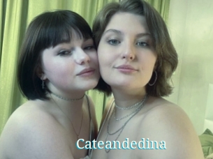 Cateandedina