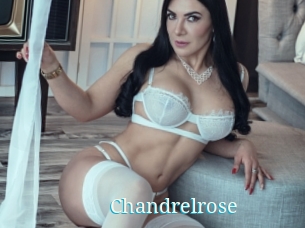 Chandrelrose