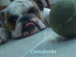 Cumalot4u