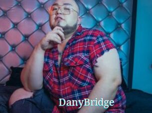 DanyBridge