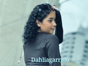 Dahliagarrido