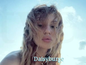 Daisyburge