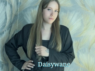 Daisywane