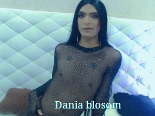 Dania_blosom