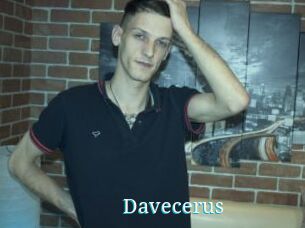 Davecerus