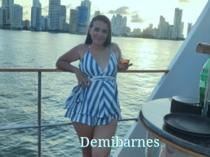 Demibarnes