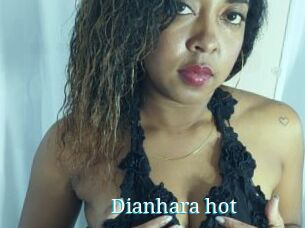 Dianhara_hot