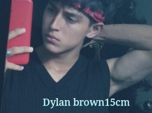 Dylan_brown15cm