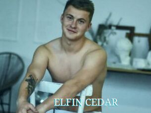 ELFIN_CEDAR