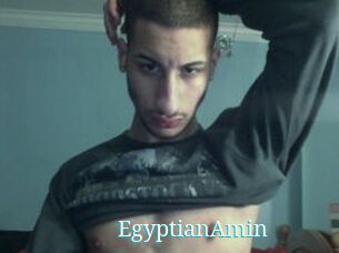 EgyptianAmin