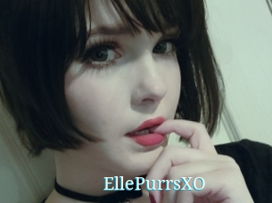 EllePurrsXO