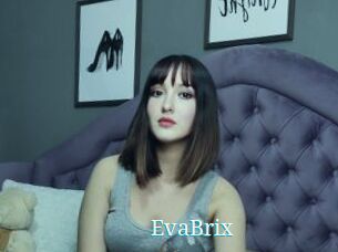 EvaBrix