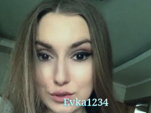 Evka1234