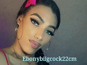 Ebonybiigcock22cm