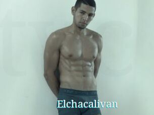 Elchacalivan