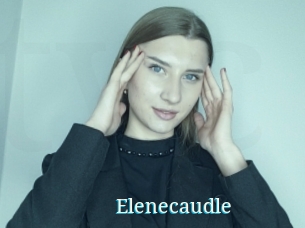 Elenecaudle