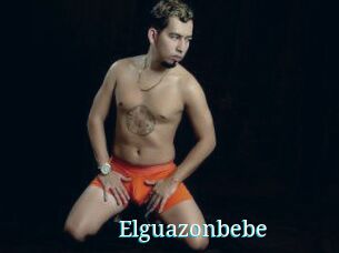 Elguazonbebe