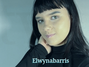 Elwynabarris