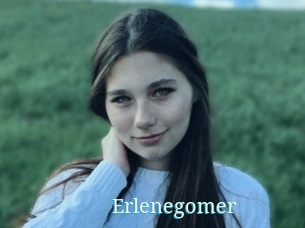 Erlenegomer