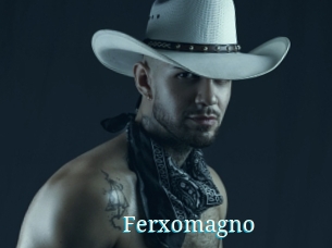 Ferxomagno