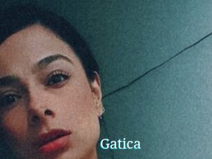 gatica The voyeurs club