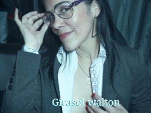 Girasol_walton