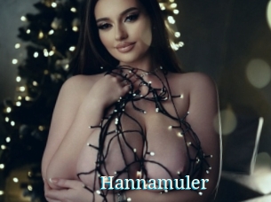 Hannamuler