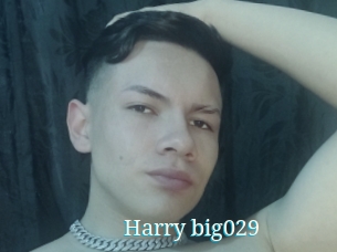 Harry_big029