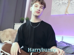 Harrybunny