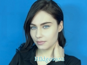 Hildgosson